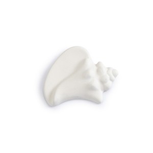 GAR 8171 Conch Shell Bisquie